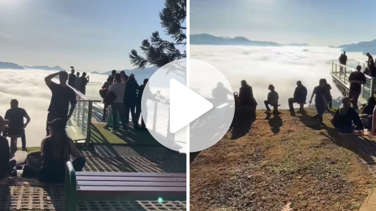 Pico Malwee em Jaraguá do Sul: Onde o Sol Nasce sobre um Mar de Nuvens