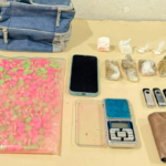 Apreensão de Drogas em Porto Belo: Polícia Militar Encontra Grande Quantidade de Entorpecentes
