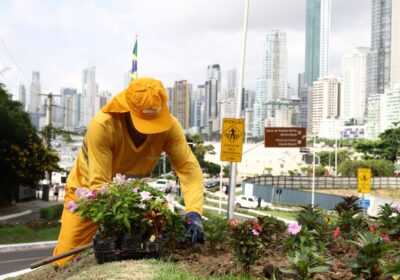 Balneário Camboriú: Desempenho Econômico em Números