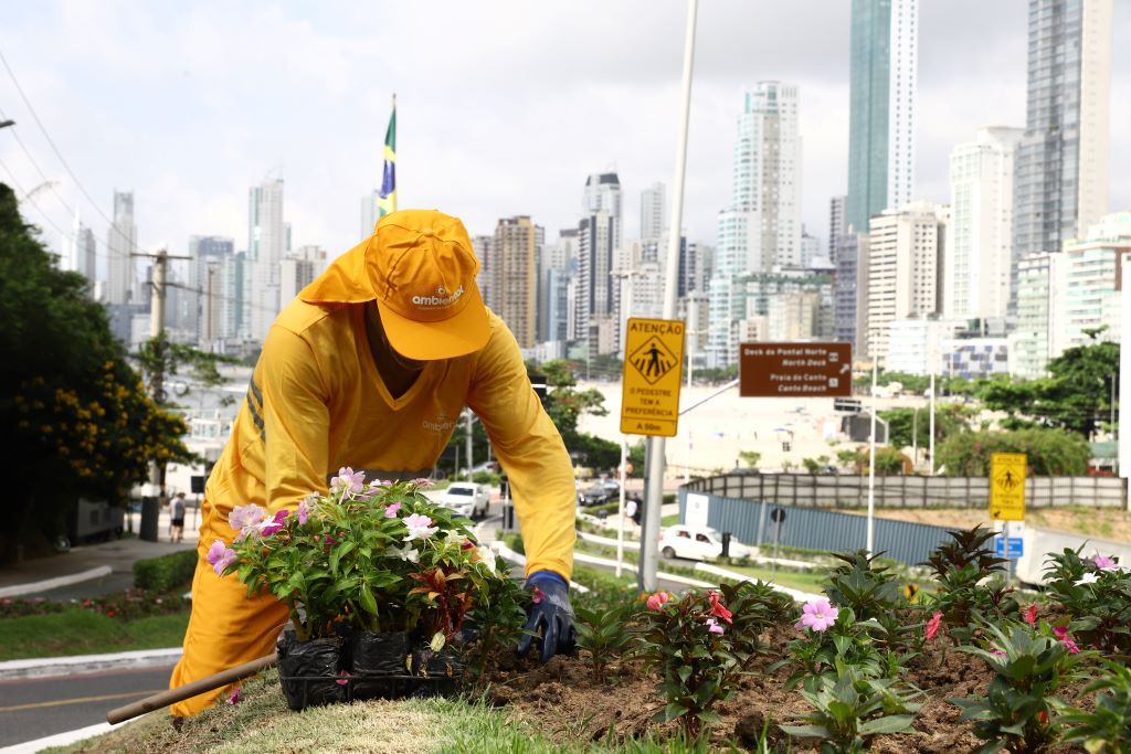 Balneário Camboriú: Desempenho Econômico em Números