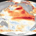 Mapa de anomalia de temperatura da superfície do Pacífico mostrando o padrão do El Niño