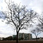 Frente Fria Avança no Sul e Tempo Seco Persiste em Grande Parte do País