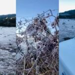 Frio Intenso em Santa Catarina: 19 Cidades Registram Temperaturas abaixo de Zero