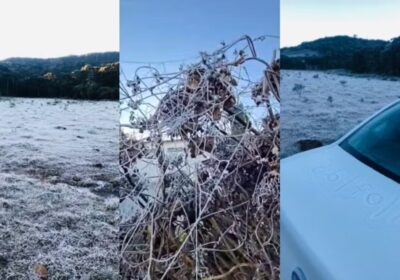 Frio Intenso em Santa Catarina: 19 Cidades Registram Temperaturas abaixo de Zero