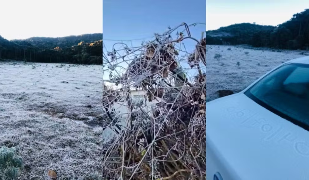 Frio Intenso em Santa Catarina: 19 Cidades Registram Temperaturas abaixo de Zero