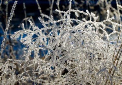 Frio Intenso em SC: Geada e Temperaturas de até -6°C