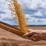 Governo Lança Medida Provisória para Renegociação de Dívidas de Produtores Rurais