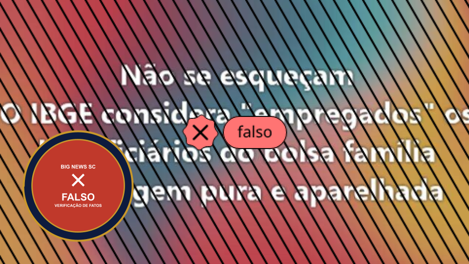 IBGE não considera beneficiários do Bolsa Família como empregados