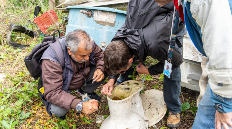 Bombinhas Intensifica Combate ao Aedes aegypti com Ação de Prevenção no Mariscal