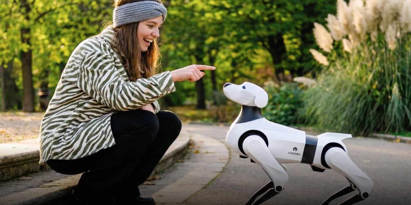 Chery lança cão-robô e humanoide no Brasil