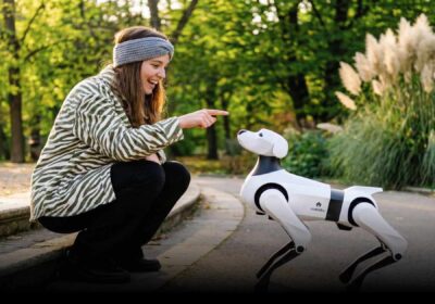 Chery lança cão-robô e humanoide no Brasil
