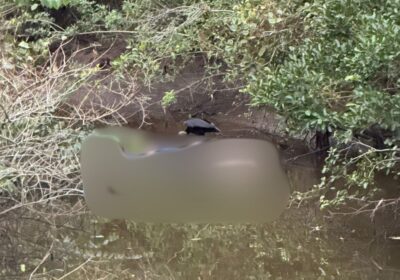 Corpo de homem é encontrado boiando em área de mangue em Porto Belo