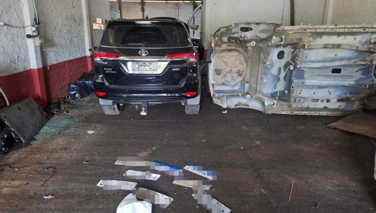 Desmanche clandestino com carros furtados é descoberto em Gaspar