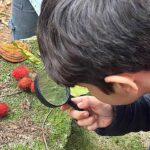 Estudantes de Itapema unem teoria e prática em trilha do Refúgio de Vida Silvestre