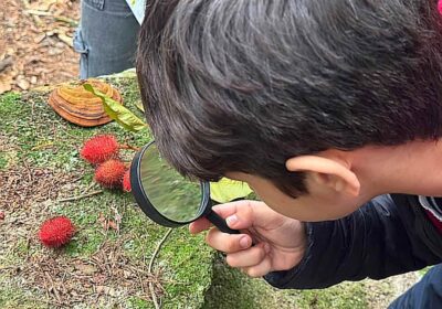 Estudantes de Itapema unem teoria e prática em trilha do Refúgio de Vida Silvestre