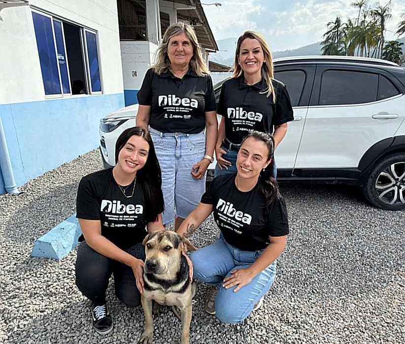 Itapema cria Diretoria de Bem-Estar Animal para ampliar políticas públicas de proteção aos animais