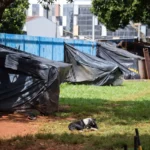 TCDF Exige Informações sobre Destino de Pessoas em Situação de Rua