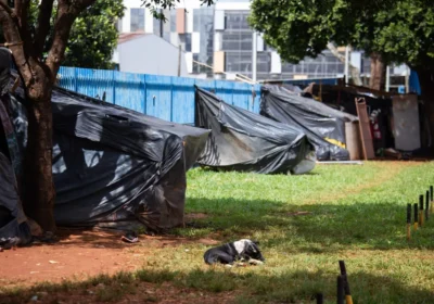 TCDF Exige Informações sobre Destino de Pessoas em Situação de Rua