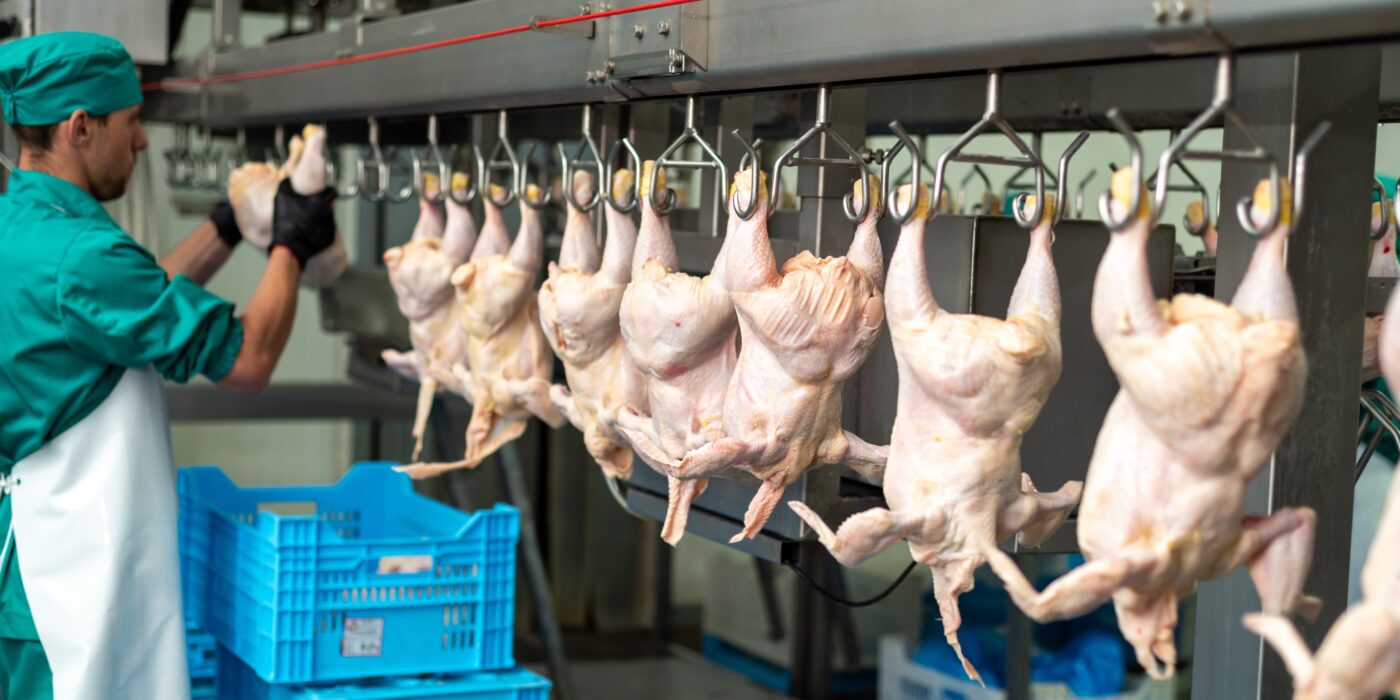Tecnologia impulsiona recorde nas exportações de proteína animal brasileira