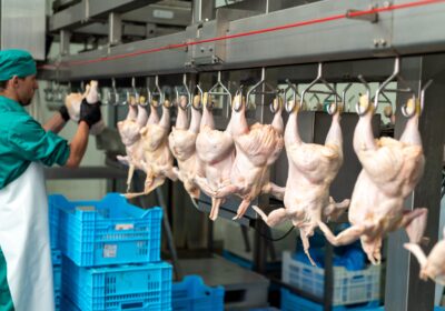 Tecnologia impulsiona recorde nas exportações de proteína animal brasileira