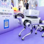 Alipay apresenta cachorro-robô que faz compras e pagamentos em nome do dono na China