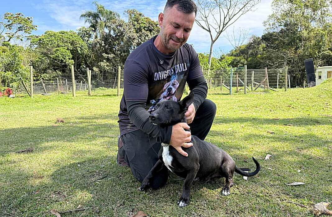Cães resgatados de maus-tratos passam por ressocialização e buscam novo lar em Itapema