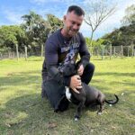 Cães resgatados de maus-tratos passam por ressocialização e buscam novo lar em Itapema